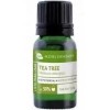 Aceite Esencial Tea Tree 10 Ml - Antiséptico, Antimicotico