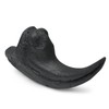 Fossilized Teeth and Claws of Various Prehistoric Dinosaurs, Megalodon Shark