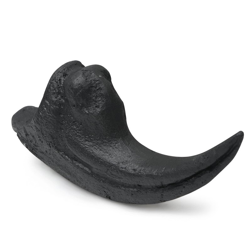 Fossilized Teeth and Claws of Various Prehistoric Dinosaurs, Megalodon Shark