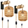 Capslad Plug in Wall Sconces Set of Two Dimmable Boho