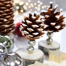 com-four® 30x pine cones white lace - pine cones as Christmas decoration - cone decoration - scatter decoration - craft set - Christmas decorations (30 pieces - white lace)