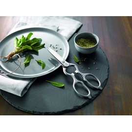 Zwilling 43924-200 Classic Food Scissors Red