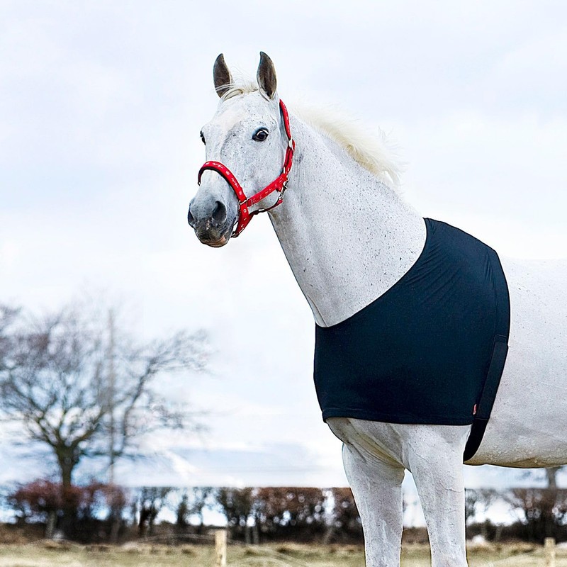 Shoulder Vest for rain rugs, rug for horses, black, Choice:pony
