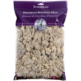 SuperMoss (21722) Reindeer Moss Preserved, Natural, 8oz (200 cubic inch)