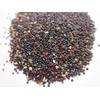 HAY2ZED Callaloo - Plant Seeds ~ For 2024 Planting (Over
