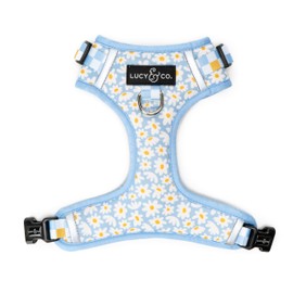 Lucy & Co. Cute No-Pull Simply Splendid Harness - Stop Pulling & Walk Easy - Harness Available in XS-XL for Small, Medium, and Large Dogs - Blue Yellow Daisies (Large)