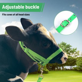 Nylon Cow Halter, Livestock Calf Halter, Equipped with Traction Rope, Cattle Halter Adjustable Length, Suitable for Large and Small Cattle, Donkeys, Goats, Horses and Poultry(Green, L)