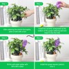 Yurucenus Plant Watering Globes, Grape Shape Self Watering Globes, Plant