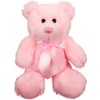 Anico 8" Pink Teddy Bear – Cute Small Bear, Soft