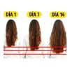 3 Shampoo Cola De Caballo Crecimiento/ Cabello Largo +regalo