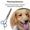 Professional 5 in 1 Dog Grooming Scissors Set with Safety