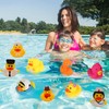 2 Inch Rubber Ducks, Random Assortment Ducks Bulk, Mini Rubber