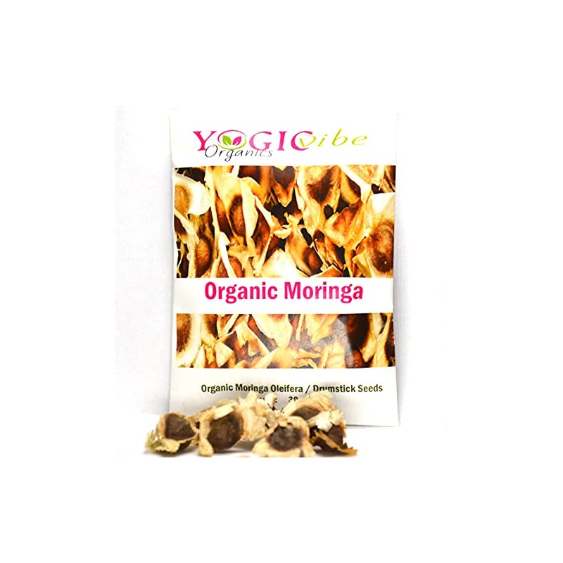 30 Organic Moringa Oleifera Drumstick Seeds Non-GMO for Sprouting, Planting,