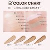 THE SAEM Concealer, Cover Perfection Tip Concealer, 1.25, Light Beige,