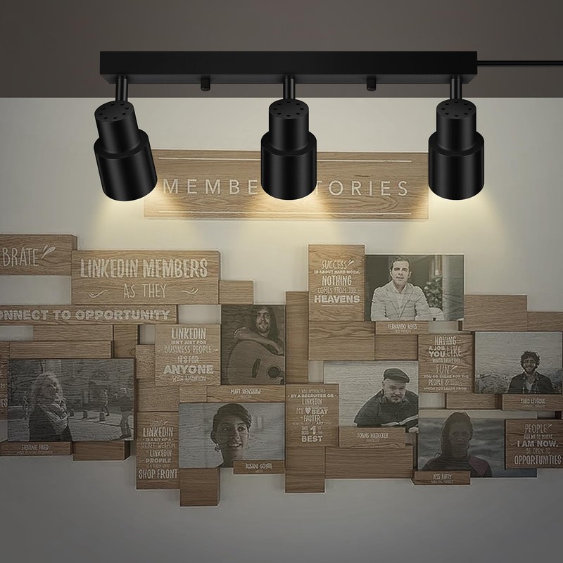Plug-in Track Lighting LED, Track Light Fixtures Ceiling, Black Plug