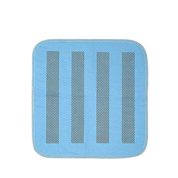 Platinum Care Pads Heavyweight Chair Pad/Underpad Washable with Anti-Slip Backing Size - 17X24 Blue - Great for Sofas, Chairs, Wheelchairs, Changing Tables, Floor Mat and Pets (Pack of 10)
