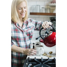 Land O Lakes Cocoa Classics, Arctic White Hot Cocoa Mix, 1.25 Ounce Packets (Pack of 36)