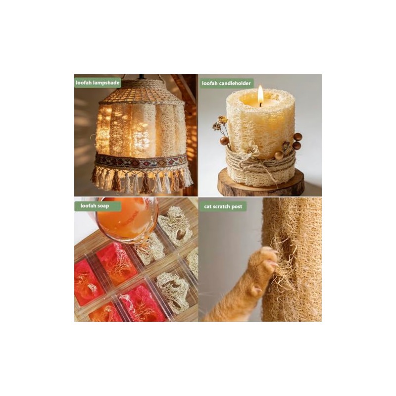 Esponjas naturales de lufa biodegradables para el cuerpo, esponja exfoliante