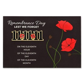 PinMart 11-11-2011 Remembrance Memorial Day Enamel Lapel Pin with Presentation Card - Patriotic Decorations for Mens Suits - Single or Bulk Poppies For Memorial Day