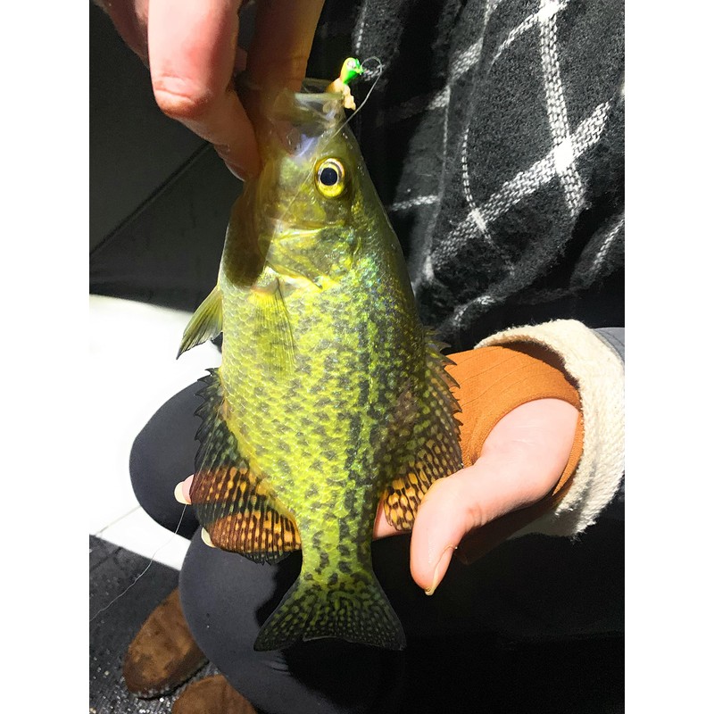 Tungsten Tear Drop 5mm Glow Jig Set of 10 1/16th