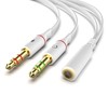 Audio Distribution Cable, BEADY Stereo Mini Plug Jack Converter Cable