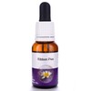 Living Essences Ribbon Pea 50ml