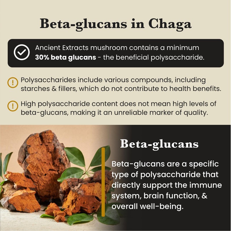 Ancient Extracts Chaga Mushroom Extract Powder - Minimum 30% Beta