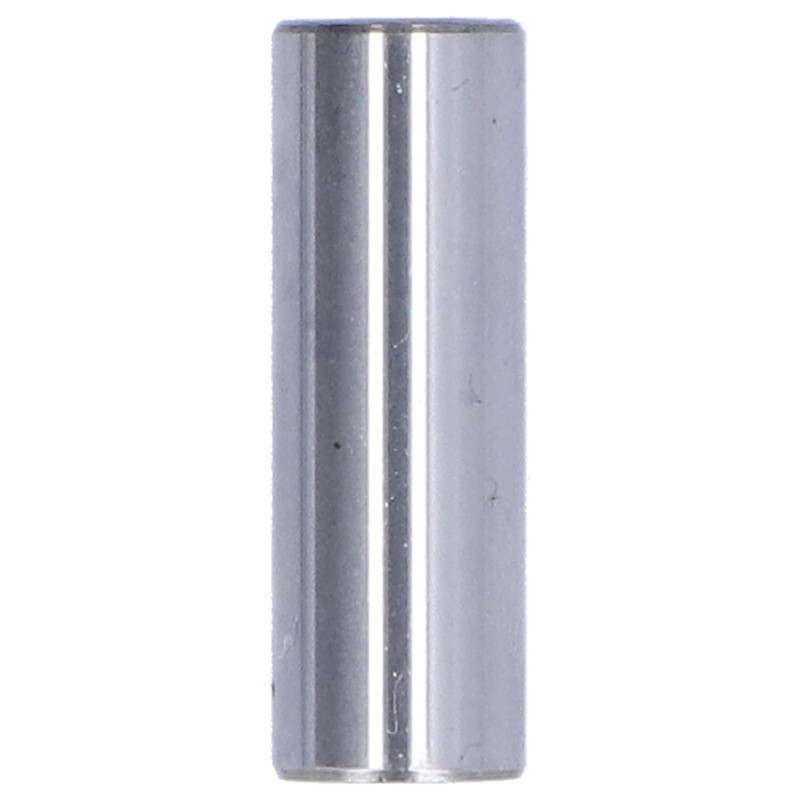 Piston Set with Ring for 555 560 562 Replacement Chainsaw