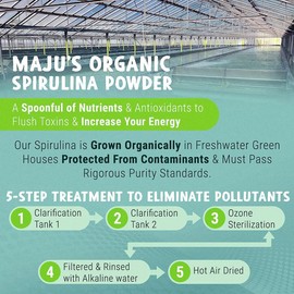 MAJU Organic Spirulina Powder (8oz) Healthcare Dietary Supplement Edible Fitness Vitamin Natural Protein Barley