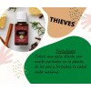 Young Living Kit De Aceites Esenciales Thieves+ Purificación Young Living
