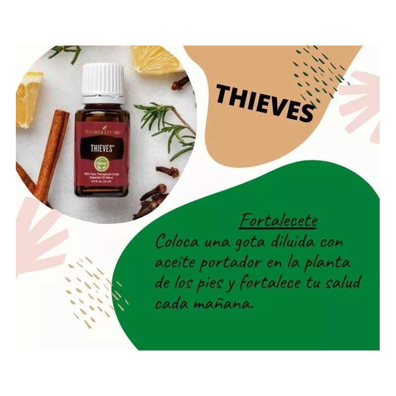 Young Living Kit De Aceites Esenciales Thieves+ Purificación Young Living