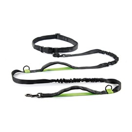 Record - Jogging Dog Leash - Extendable Lead - Made of Nylon - With Elastic Anti-Pull Extender - Length 215-270cm - Black and Green