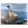 MyPuzzle Monterey Cypress On The Pacific Coast Near The Water
