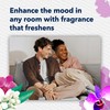 Glade PlugIns Refills Air Freshener, Scented and Essential Oils for