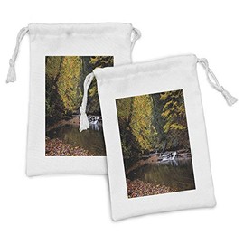 Lunarable Nature Fabric Pouch Set of 2, Small Waterfall Brandywine Creek National Park Ohio Autumn Fallen Leaves, Small Drawstring Bag for Toiletries Masks and Favors, 9" x 6", Yellow Green Redwood