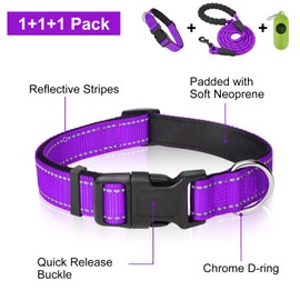 Dynmeow Reflective Dog Collar and Leash Set, 6FT Strong Climbing Rope Leash with Padded Handle, Adjustable Pet Collar with Soft Neoprene Padding for Puppy Small Dogs (Purple,XS)