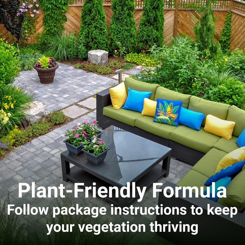 American Hydro Systems 2662 Rid O' Rust Liquid Rust Stain