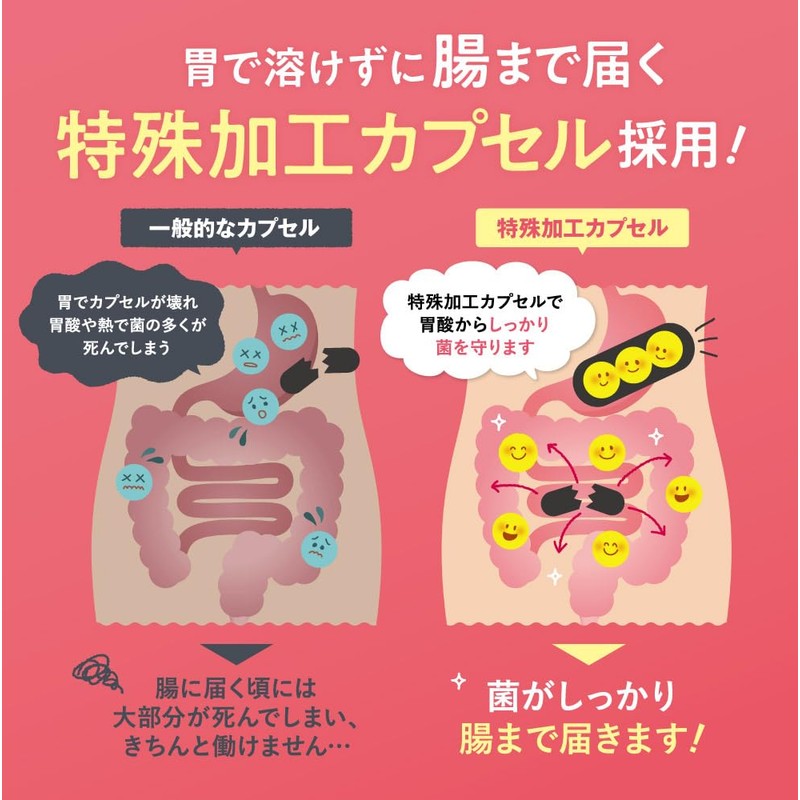 BISERA Nature's Laboratory Short Chain Fatty Acids Lactic Acid Bacteria