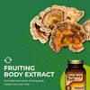 HEALTHFORCE SUPERFOODS Turkey Tail - Capsules - 90 Vegan Capsules