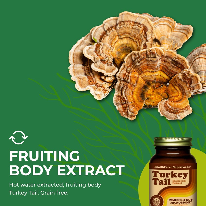 HEALTHFORCE SUPERFOODS Turkey Tail - Capsules - 90 Vegan Capsules