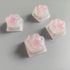Cat Claw Keycap Backlight Keycap Cute Resin Keycap ESC Keycap