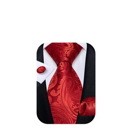 DiBanGu Red Floral Ties for Men Woven Silk Red Paisley Necktie Solid Color Tie Set Wedding Party