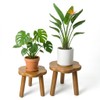 Janedream 2-Piece Flower-Scalloped Solid Wood Plant Stand