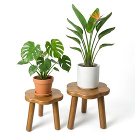 Janedream 2-Piece Flower-Scalloped Solid Wood Plant Stand