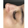 500 Fans | Wispy Promade Fans for Eyelash Extensions |