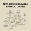 ECO BOOM Diapers, Viscose from Bamboo Diapers, Natural Soft Disposable