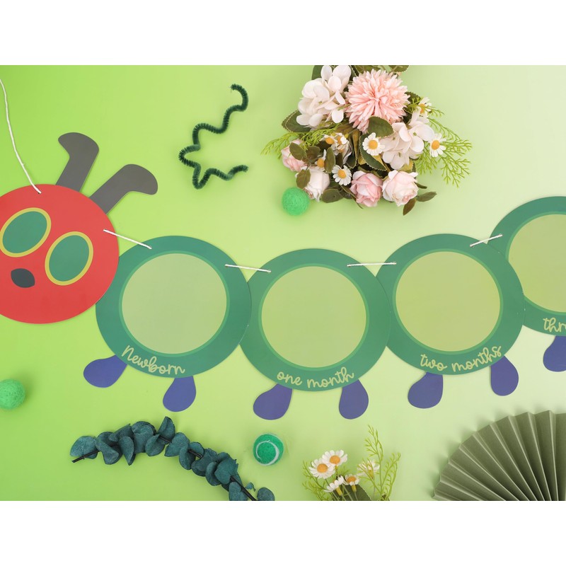 Hungry Caterpillar Monthly Milestone Photo Banner - Newborn to 12