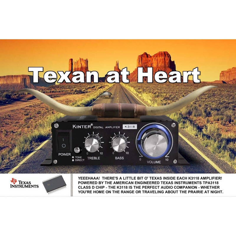 Kinter K3118 Texas Instruments TI Digital Hi-Fi Audio Mini Class