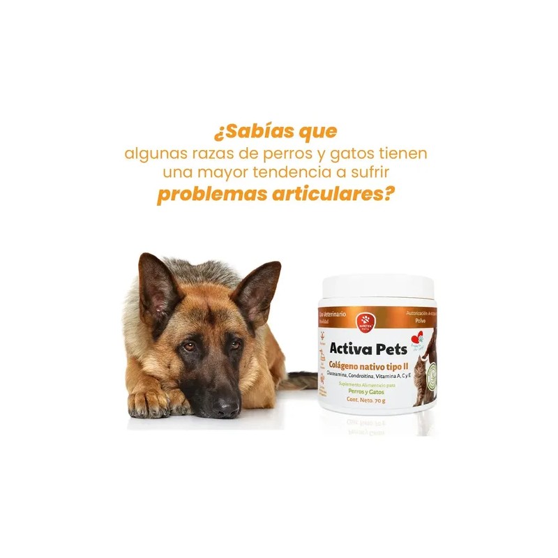 Suplemento Alimenticio Para Perros/gatos Con Colágeno 70g
