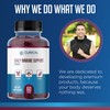 Clinical Effects Daily Immune Support Gummies - Elderberry Gummies with